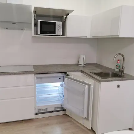 Ragaines Apartamentai Self Check-in