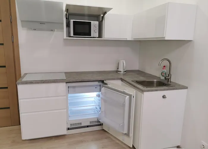 Ragaines Apartamentai Self Check-in