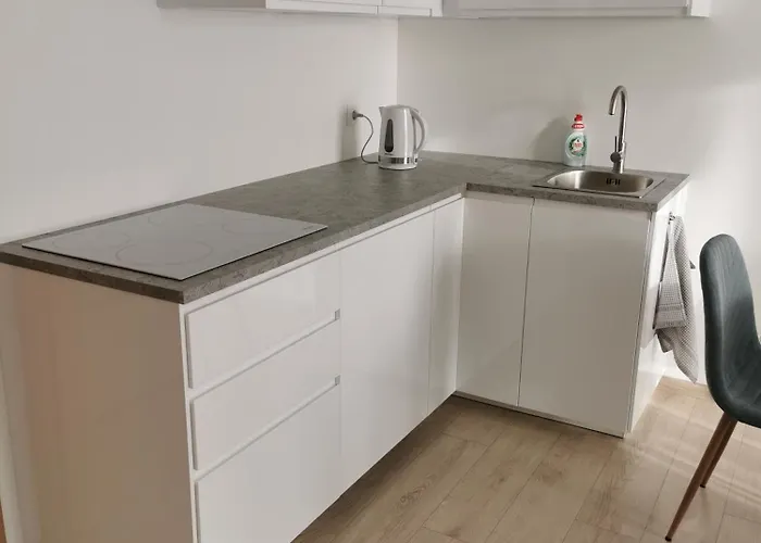 Ragaines Apartamentai Self Check-in Appartamento